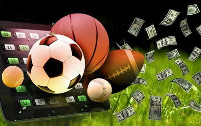 Pengguna membaca daftar olahraga dan event pada perangkat mobile